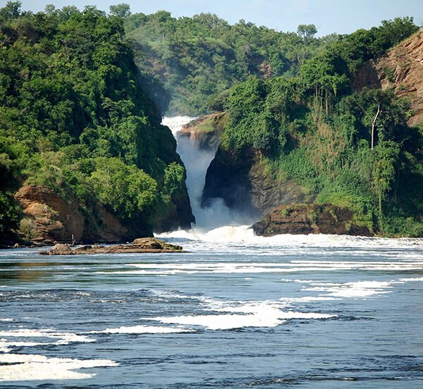 Murchison falls | 3 day uganda safari to Murchison falls National Park