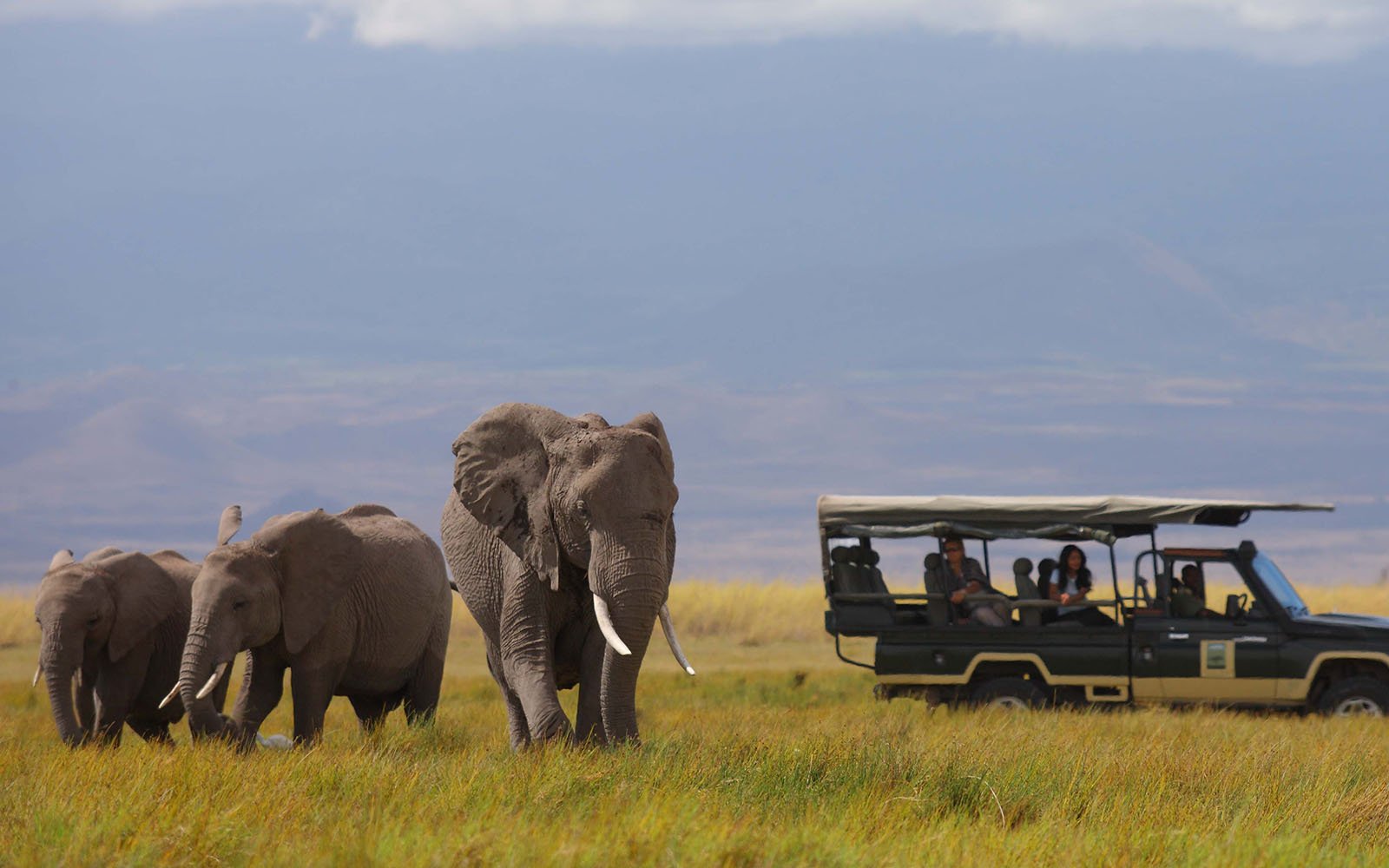 Elephants in Amboseli | 8 Day Kenya Safari and Beach | 6 Day Kenya Wildlife and beach