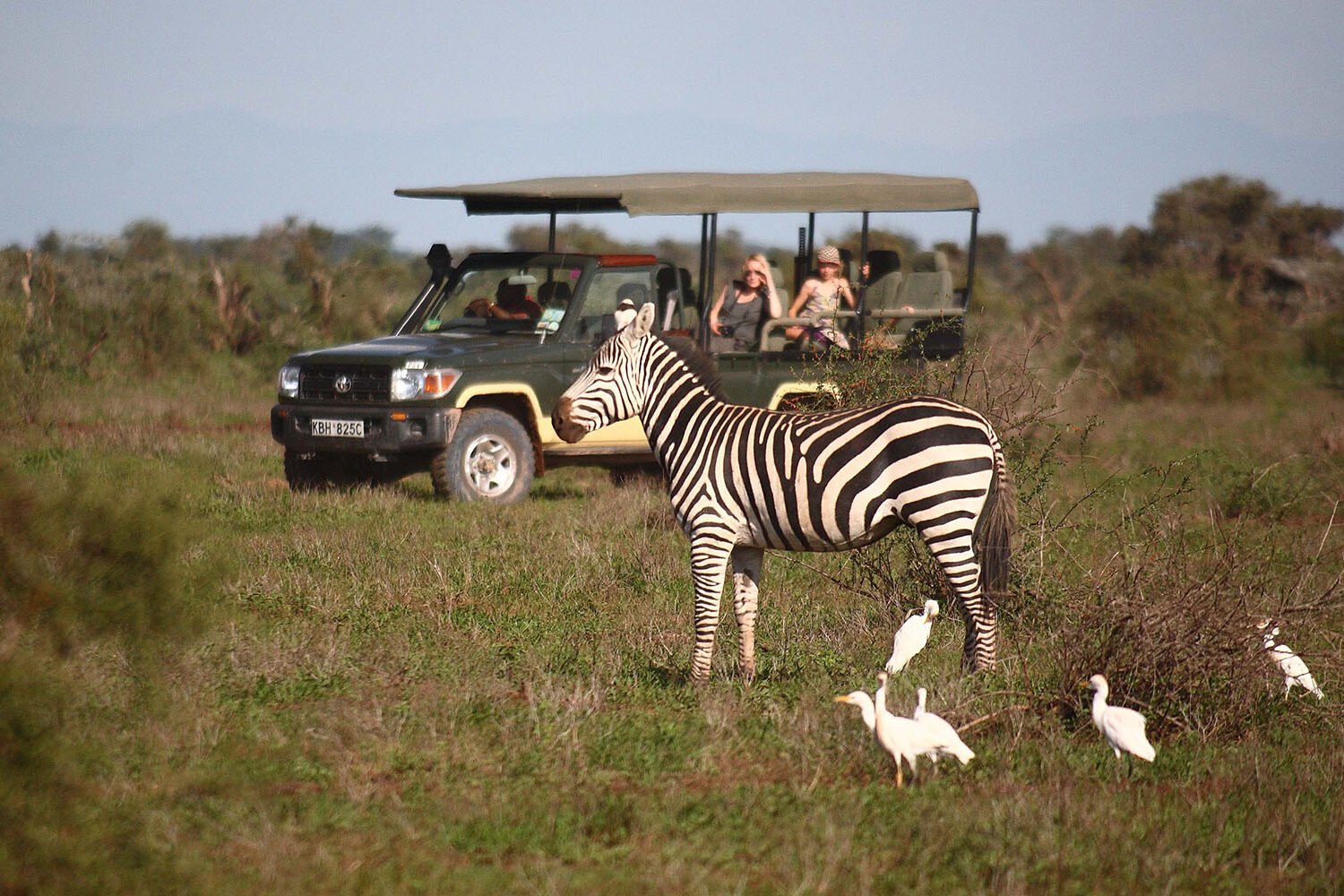 Amboseli Tortilis Camp | 8 Day Kenya Safari and Beach