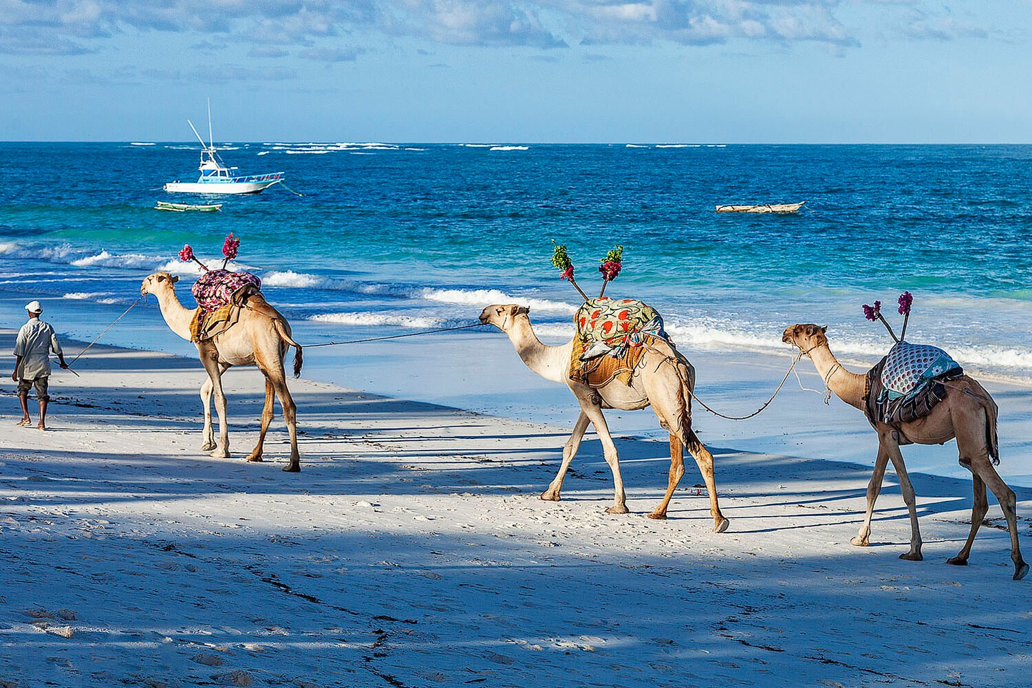 Diani Beach Camel Rides | 4 Day Mombasa Safari