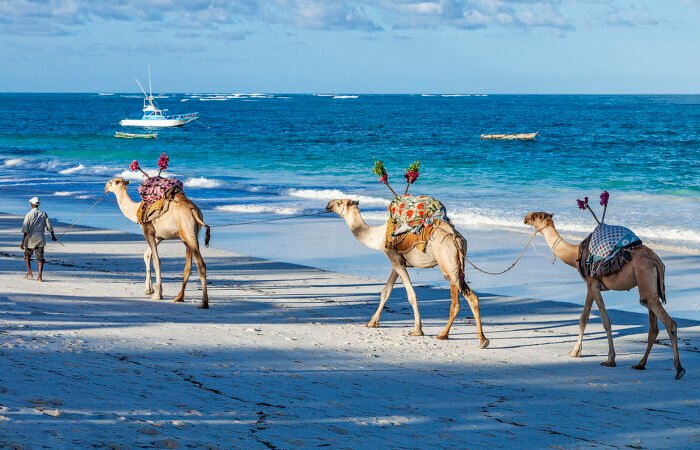 Diani Beach Camel Rides | 4 Day Mombasa Safari